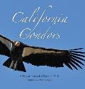 California Condors: A Day at Pinnacles National Park