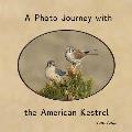 A Photo Journey with the American Kestrel