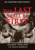 The Last Shall Be First: An Analysis of the Systemic Subdivide of Black America