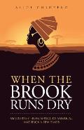 When the Brook Runs Dry: My Journey From Africa to America... and Back a Few Times