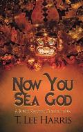 Now You Sea God: A Josh Katzen Collection