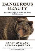 Dangerous Beauty Encounters with Grizzlies & Bison in Yellowstone