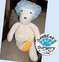 Sawbear's Surgery