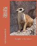 Max the Meerkat: Danger in the Desert