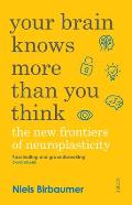 Your Brain Knows More Than You Think the New Frontiers of Neuroplasticity