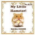 My Little Hamster!