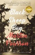 Black Sheep Boy a Novel in Stories