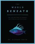 World Beneath The Life & Times of Unknown Sea Creatures Coral Reefs & Marine Life