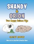 Shandy & Orion: Two Happy Guinea Pigs