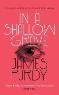 In a Shallow Grave Valancourt 20th Century Classics