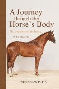 A Journey Through the Horse's Body: The Anatomy of the Horse
