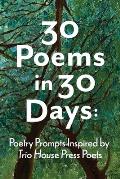 30 Poems in 30 Days: Poetry Prompts Inspired by Trio House Press Poets