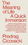 The Meaning of Life: A Quick Immersion