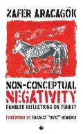 Non-Conceptual Negativity: Damaged Reflections on Turkey