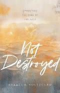 Not Destroyed: Uprooting the Sins of the Past