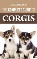 The Complete Guide to Corgis: Everything to Know About Both the Pembroke Welsh and Cardigan Welsh Corgi Dog Breeds