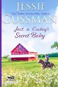 Just a Cowboy's Secret Baby (Sweet Western Christian Romance Book 6) (Flyboys of Sweet Briar Ranch in North Dakota)