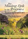 The Missing Link in the Process of Sanctification: The Holy Spirit