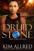 A Druid Stone Large Print: Time Travel Adventure Romance