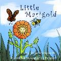 Little Marigold