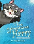 The Adventures of Harry the Inside-Outside Cat