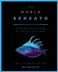 The World Beneath: The Life and Times of Unknown Sea Creatures and Coral Reefs