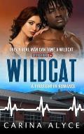 Wildcat: A Steamy Firefighter Romance