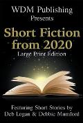 WDM Presents: Short Fiction from 2020 (Large Print Edition)