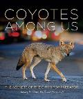 Coyotes Among Us
