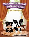 The Adventures of Burnie & Chloe: Chloe Gets Scared