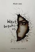 What Breaks Us