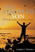 The Adopted Son: God's Blessings and Perseverance Achieved Success
