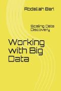 Working with Big Data: Scaling Data Discovery