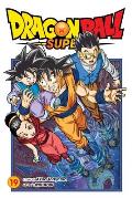 Dragon Ball Super Vol. 19