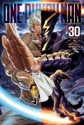 One Punch Man Volume 30