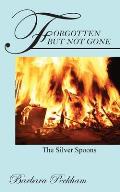 Forgotten But Not Gone: The Silver Spoons