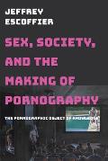 Sex, Society, and the Making of Pornography: The Pornographic Object of Knowledge