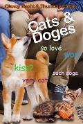 Cats & Doges