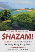 Shazam the Formula for Getting What You Really Really Really Want When All Seems Lost It AinT
