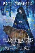 Charmed by Witches: Young Adult, Witchcraft, Witch Hunters, Salem, 17th Century