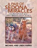 A Pair of Sedona Miracles: Life as Seen by Sam and Athena a Pair of Hybrids in a Land of Conformity