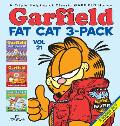 Garfield Fat Cat 3 Pack 21