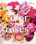 Color of Roses A Curated Spectrum of 300 Blooms
