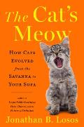 Cats Meow How Cats Evolved from the Savanna to Your Sofa