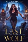 The Last Wolf: Moon Shifter Academy