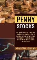 Penny Stocks: Investing and Trading Penny Stocks for Beginners a Guide on How to Make Money on the Stock Market the Cheap Way (Step