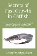 Secrets of Fast Growth in Catfish: A revelation on how big-sized table fish can be produced in just 4 months thereby achieving three production cycles