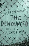 The Denounced: Book 1 A Grey Sun