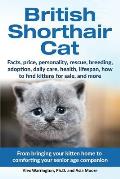 British Shorthair Cat: From bringing your kitten home to comforting your senior age beloved companion