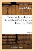 Culture de l'Eucalyptus ? St-Paul-Trois-Fontaines Pr?s Rome. 1e Partie